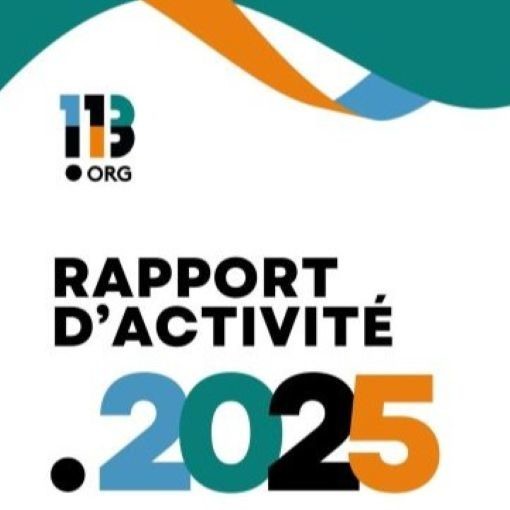 Rapport d'activité de l'Association 113.org
