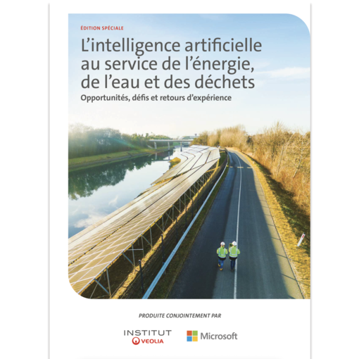 L'Intelligence artificielle et transition écologique